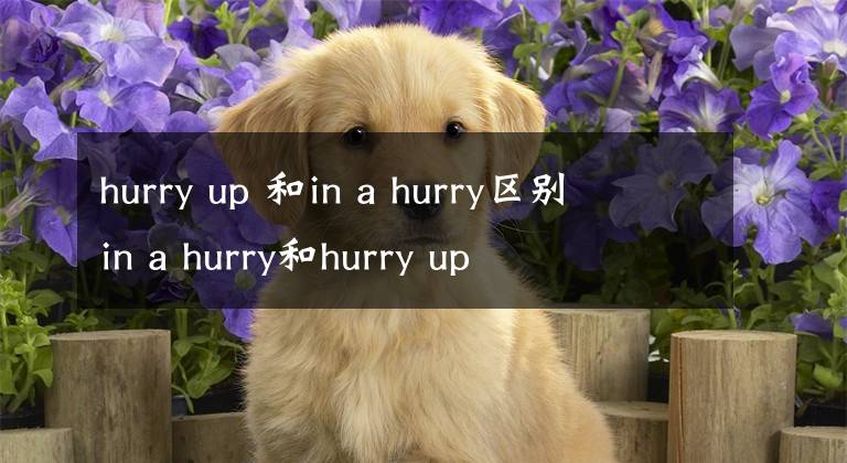 hurry up 和in a hurry區(qū)別 in a hurry和hurry up