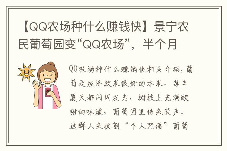 【QQ農(nóng)場(chǎng)種什么賺錢(qián)快】景寧農(nóng)民葡萄園變“QQ農(nóng)場(chǎng)”，半個(gè)月認(rèn)領(lǐng)完，30畝賺了30萬(wàn)，啥樣