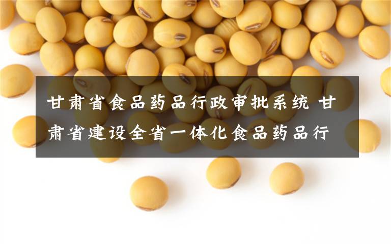 甘肅省食品藥品行政審批系統(tǒng) 甘肅省建設(shè)全省一體化食品藥品行政審批平臺(tái)