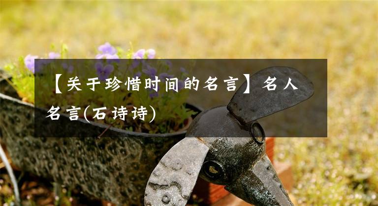 【關(guān)于珍惜時(shí)間的名言】名人名言(石詩(shī)詩(shī))