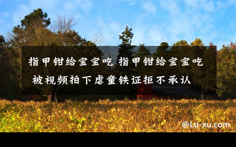 指甲鉗給寶寶吃 指甲鉗給寶寶吃 被視頻拍下虐童鐵證拒不承認(rèn)