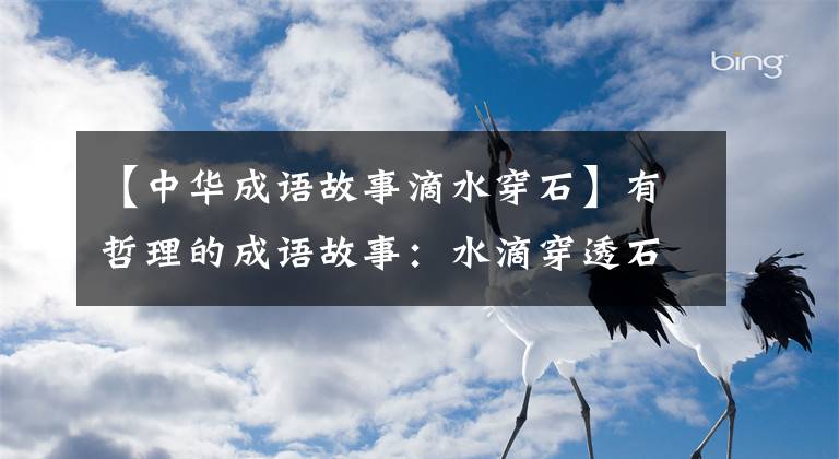 【中華成語(yǔ)故事滴水穿石】有哲理的成語(yǔ)故事：水滴穿透石頭穿