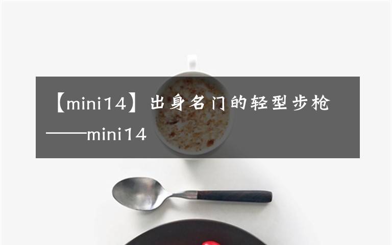 【mini14】出身名門的輕型步槍——mini14