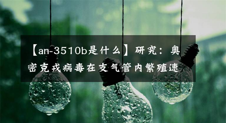 【an-3510b是什么】研究：奧密克戎病毒在支氣管內(nèi)繁殖速度比德爾塔快70倍