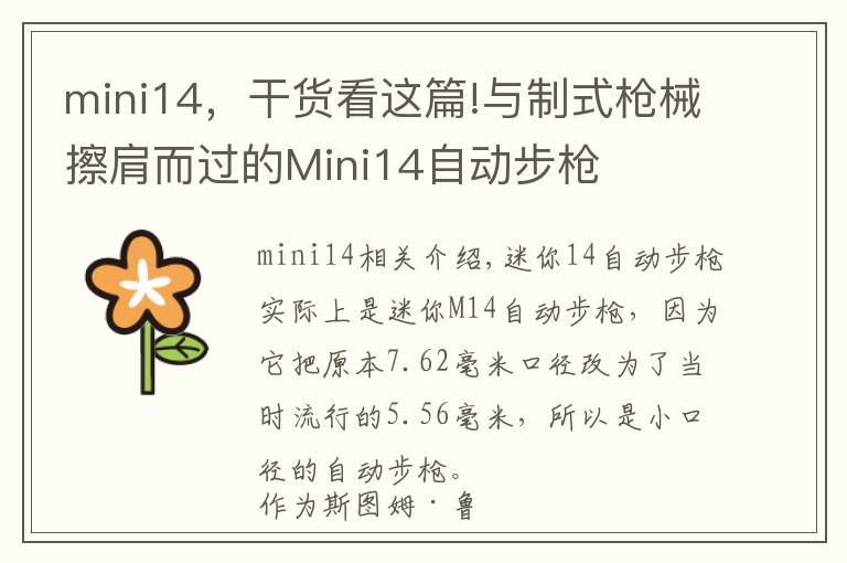 mini14，干貨看這篇!與制式槍械擦肩而過(guò)的Mini14自動(dòng)步槍