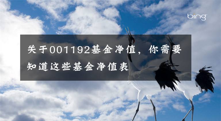 關(guān)于001192基金凈值，你需要知道這些基金凈值表