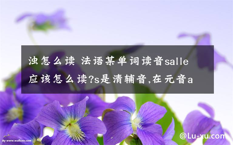 濁怎么讀 法語某單詞讀音salle應(yīng)該怎么讀?s是清輔音,在元音a前面應(yīng)該變濁讀z的音啊,為什么還是讀【sal】同樣site中的s