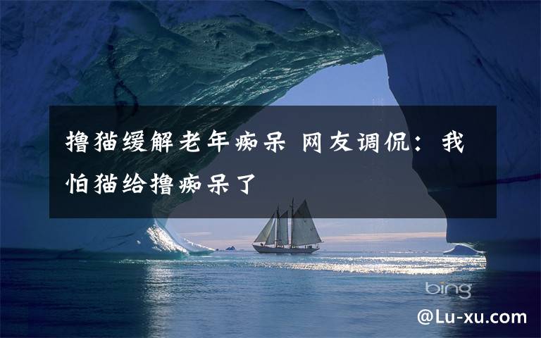 擼貓緩解老年癡呆 網(wǎng)友調侃：我怕貓給擼癡呆了