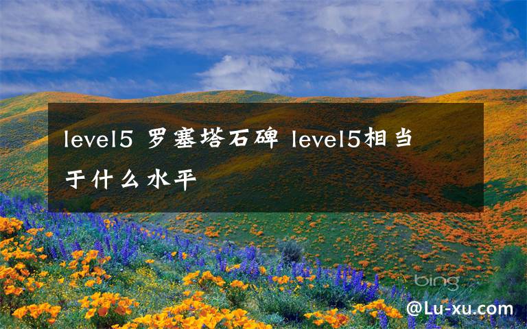 level5 羅塞塔石碑 level5相當(dāng)于什么水平