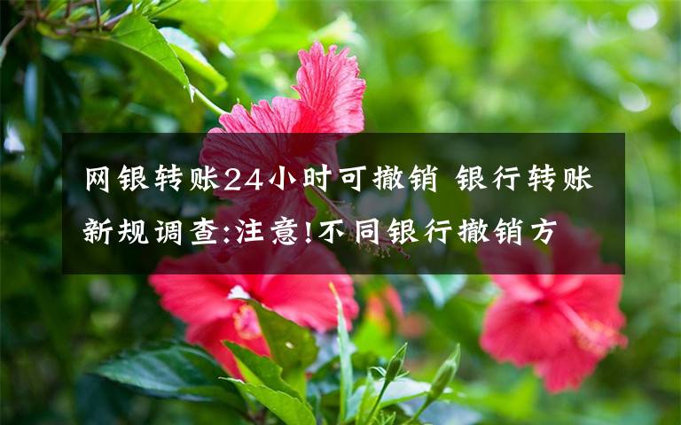 網(wǎng)銀轉(zhuǎn)賬24小時可撤銷 銀行轉(zhuǎn)賬新規(guī)調(diào)查:注意!不同銀行撤銷方式不一樣