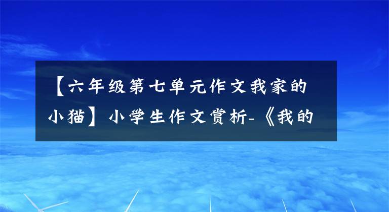 【六年級(jí)第七單元作文我家的小貓】小學(xué)生作文賞析-《我的動(dòng)物朋友小貓》 300字(精選范文3篇)