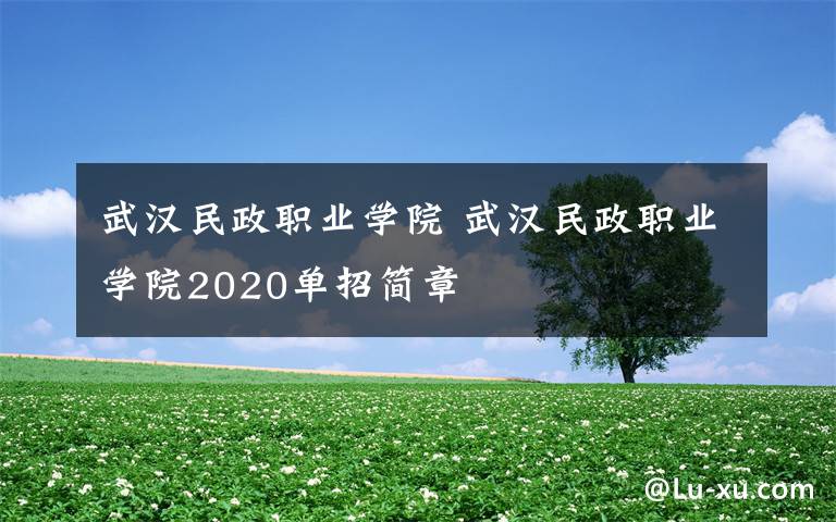 武漢民政職業(yè)學(xué)院 武漢民政職業(yè)學(xué)院2020單招簡章