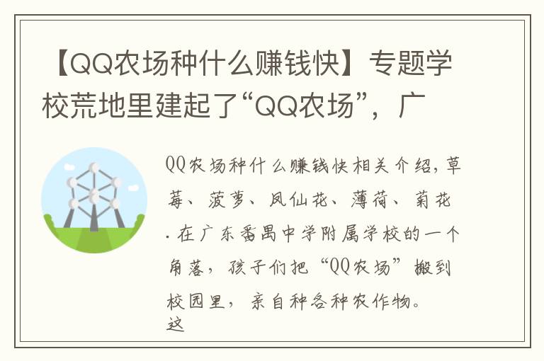 【QQ農(nóng)場種什么賺錢快】專題學(xué)?；牡乩锝ㄆ鹆恕癚Q農(nóng)場”，廣州48所學(xué)校獲評(píng)“5A級(jí)校園小農(nóng)田”