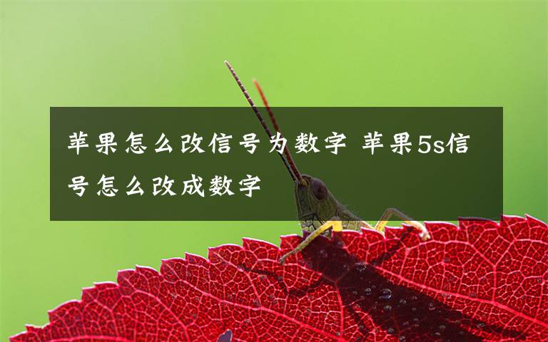 蘋(píng)果怎么改信號(hào)為數(shù)字 蘋(píng)果5s信號(hào)怎么改成數(shù)字