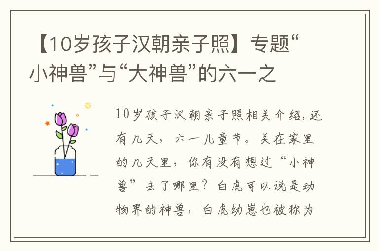 【10歲孩子漢朝親子照】專題“小神獸”與“大神獸”的六一之約 廣州長隆動物園的親子之旅