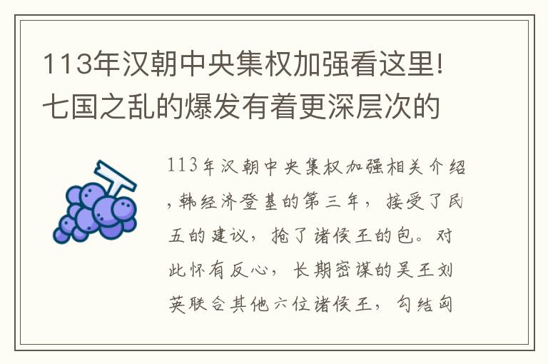 113年漢朝中央集權(quán)加強(qiáng)看這里!七國(guó)之亂的爆發(fā)有著更深層次的制度原因，也促進(jìn)中央集權(quán)得到強(qiáng)化