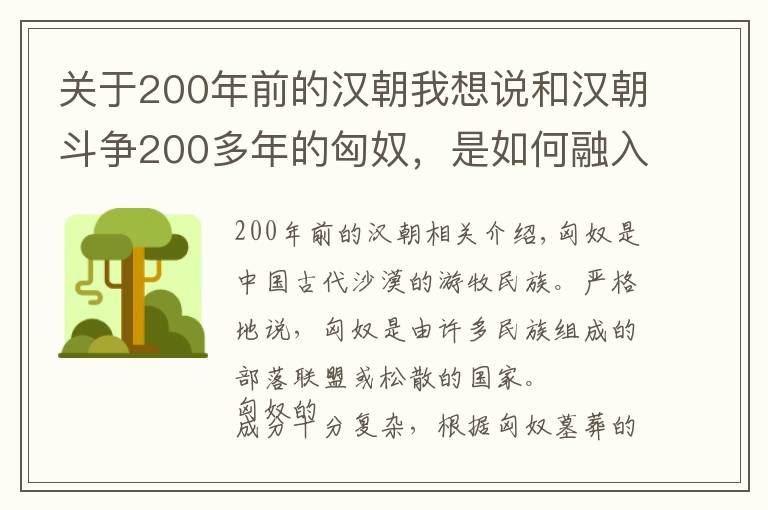 關(guān)于200年前的漢朝我想說(shuō)和漢朝斗爭(zhēng)200多年的匈奴，是如何融入了漢族之中