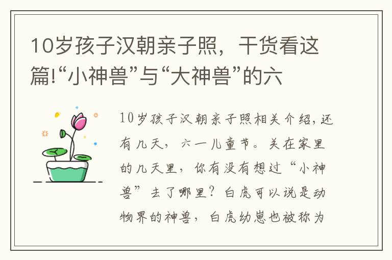 10歲孩子漢朝親子照，干貨看這篇!“小神獸”與“大神獸”的六一之約 廣州長隆動物園的親子之旅