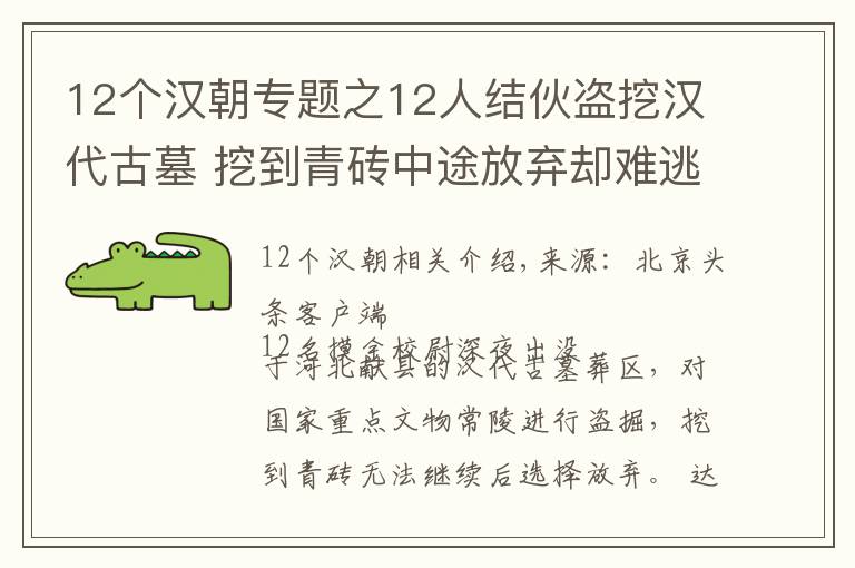 12個(gè)漢朝專題之12人結(jié)伙盜挖漢代古墓 挖到青磚中途放棄卻難逃法網(wǎng)