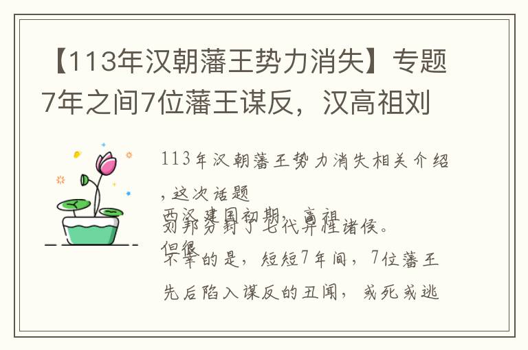 【113年漢朝藩王勢力消失】專題7年之間7位藩王謀反，漢高祖劉邦效法西周分封，為何如此失??？