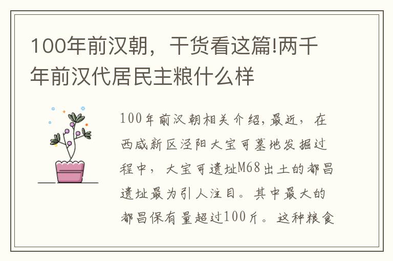 100年前漢朝，干貨看這篇!兩千年前漢代居民主糧什么樣