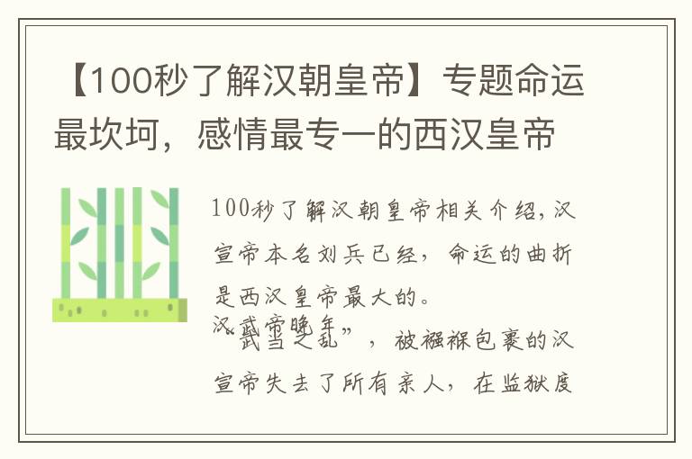 【100秒了解漢朝皇帝】專題命運最坎坷，感情最專一的西漢皇帝——漢宣帝