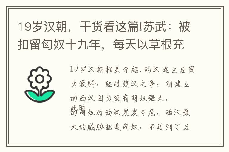 19歲漢朝，干貨看這篇!蘇武：被扣留匈奴十九年，每天以草根充饑，始終沒有背叛漢朝