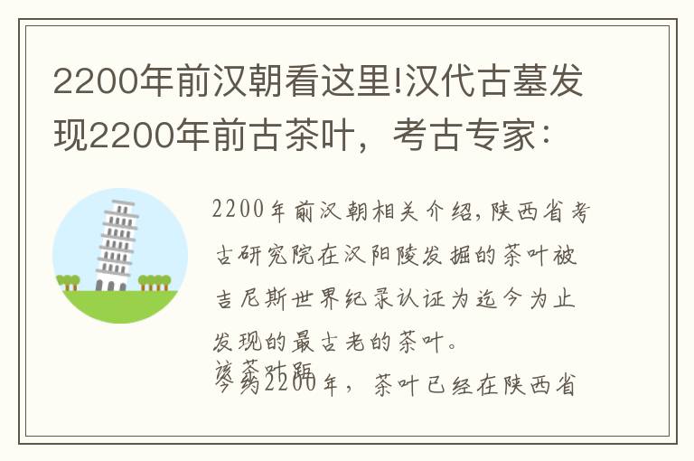 2200年前漢朝看這里!漢代古墓發(fā)現(xiàn)2200年前古茶葉，考古專家：絕無僅有的皇帝專用茶葉