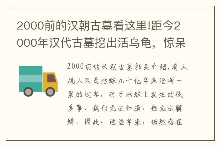 2000前的漢朝古墓看這里!距今2000年漢代古墓挖出活烏龜，驚呆考古隊(duì)，難道它已活千年