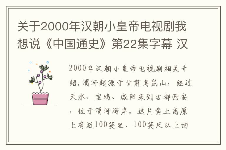 關(guān)于2000年漢朝小皇帝電視劇我想說《中國通史》第22集字幕 漢武帝