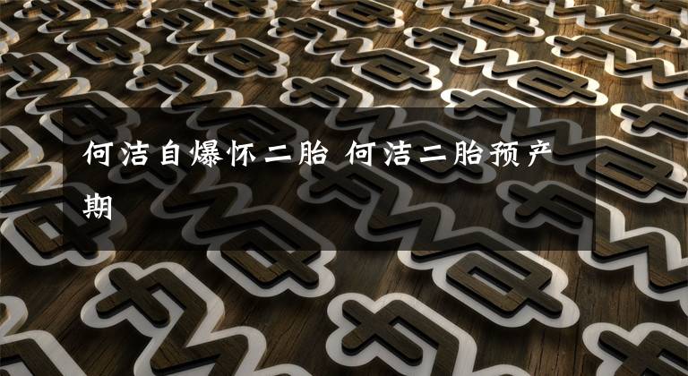 何潔自爆懷二胎 何潔二胎預(yù)產(chǎn)期