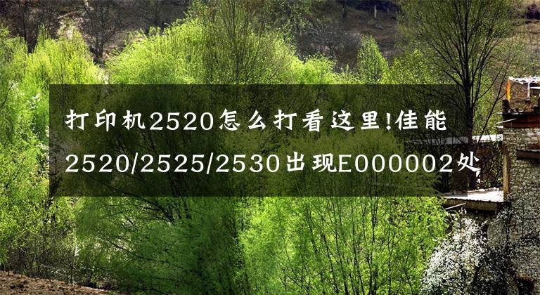 打印機2520怎么打看這里!佳能2520/2525/2530出現(xiàn)E000002處理方法，有需要的留下