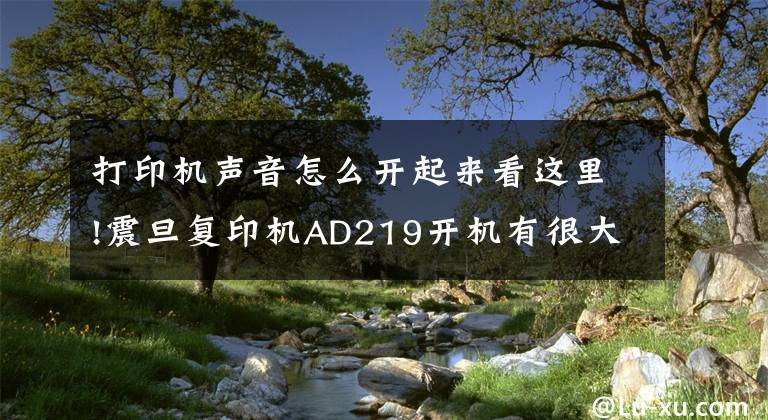 打印機聲音怎么開起來看這里!震旦復(fù)印機AD219開機有很大的響聲怎么解決？