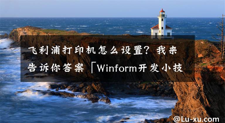 飛利浦打印機(jī)怎么設(shè)置？我來告訴你答案「Winform開發(fā)小技巧04」設(shè)置打印機(jī)