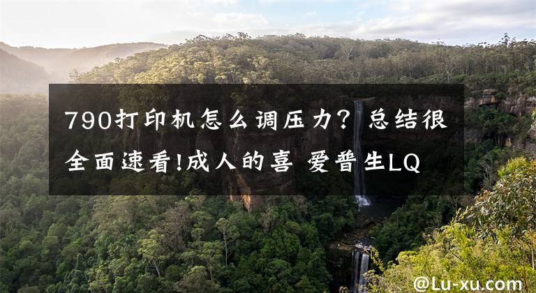 790打印機怎么調壓力？總結很全面速看!成人的喜 愛普生LQ-790K證書打印機