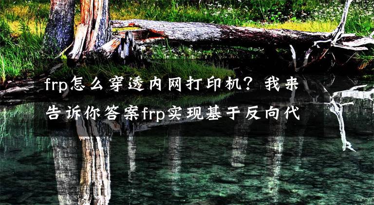 frp怎么穿透內(nèi)網(wǎng)打印機(jī)？我來(lái)告訴你答案frp實(shí)現(xiàn)基于反向代理的內(nèi)網(wǎng)穿透