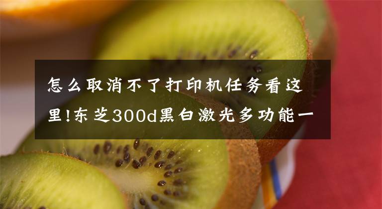 怎么取消不了打印機任務看這里!東芝300d黑白激光多功能一體機一個貼心設計