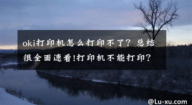 oki打印機(jī)怎么打印不了？總結(jié)很全面速看!打印機(jī)不能打印？別急，答案在這