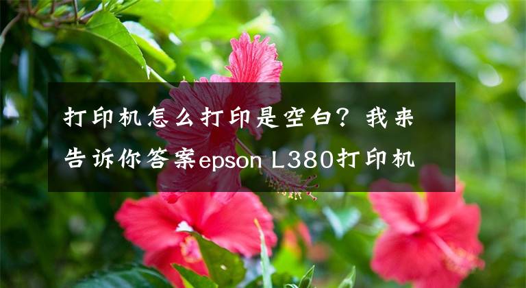 打印機(jī)怎么打印是空白？我來告訴你答案epson L380打印機(jī)不打字