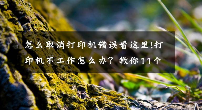 怎么取消打印機錯誤看這里!打印機不工作怎么辦？教你11個方法，輕松解決打印機出錯