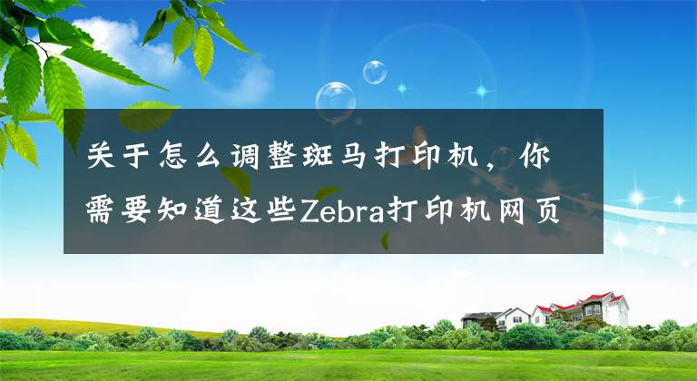 關(guān)于怎么調(diào)整斑馬打印機(jī)，你需要知道這些Zebra打印機(jī)網(wǎng)頁(yè)更改IP地址