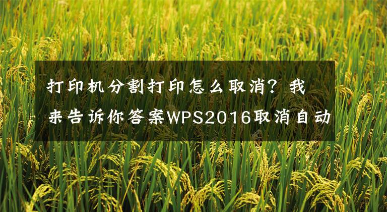 打印機分割打印怎么取消？我來告訴你答案WPS2016取消自動生成的頁面分隔虛線