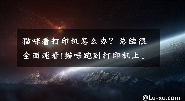 貓咪看打印機(jī)怎么辦？總結(jié)很全面速看!貓咪跑到打印機(jī)上，不小心啟動(dòng)掃描鍵，結(jié)果得到了這樣一幅圖