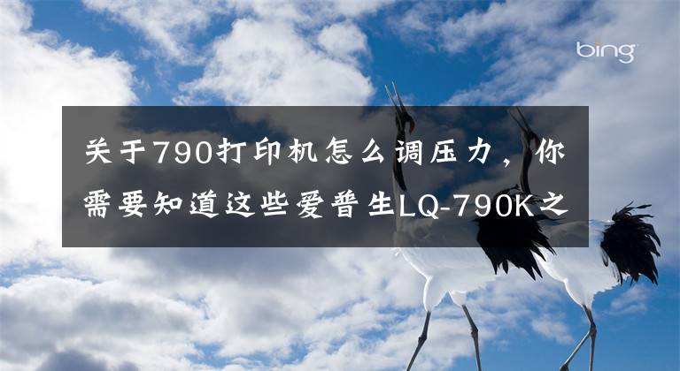 關于790打印機怎么調壓力，你需要知道這些愛普生LQ-790K之勇攀人生的高峰