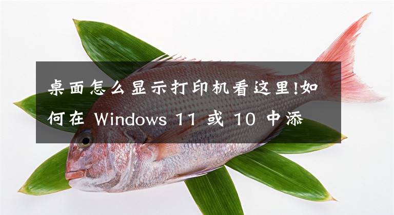 桌面怎么顯示打印機(jī)看這里!如何在 Windows 11 或 10 中添加打印機(jī)