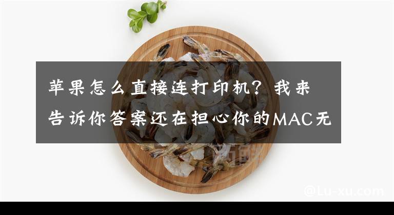 蘋果怎么直接連打印機？我來告訴你答案還在擔心你的MAC無法連接打印機嗎？