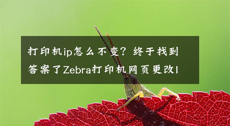 打印機(jī)ip怎么不變？終于找到答案了Zebra打印機(jī)網(wǎng)頁更改IP地址