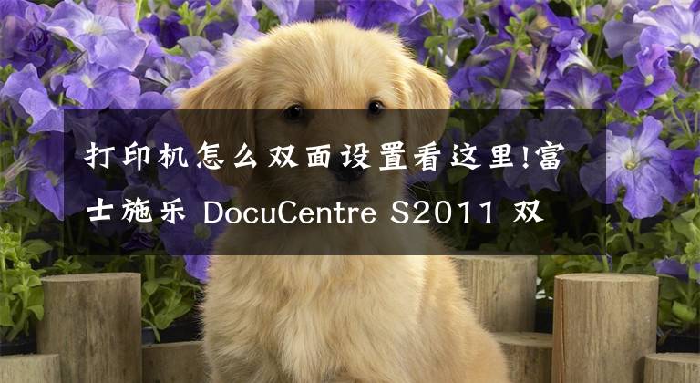 打印機怎么雙面設置看這里!富士施樂 DocuCentre S2011 雙面打印怎么設置？