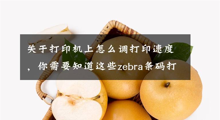 關(guān)于打印機(jī)上怎么調(diào)打印速度，你需要知道這些zebra條碼打印機(jī)打印模糊