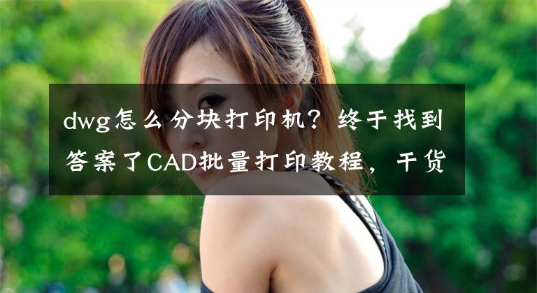 dwg怎么分塊打印機？終于找到答案了CAD批量打印教程，干貨！